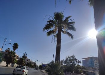 انخفاض طفيف على درجات الحرارة مع بقاء الأجواء حارة نسبياً