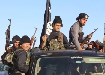 تركيا تستحوذ على بيانات “الذئاب المنفردة” لداعش.. ما علاقة إيران؟