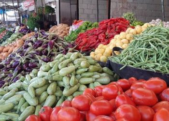 3727 طن خضار وفواكه ترد للسوق المركزي السبت