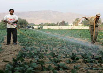 الإعلان عن تزويد مزارعي الأغوار بمياه إضافية خلال موجة الحر