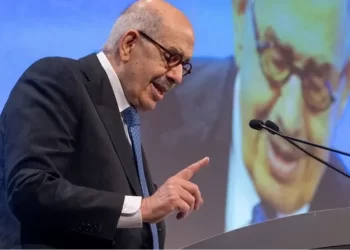 هكذا انتقد البرادعي ترشح السيسي وخطاباته الأخيرة