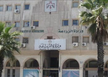 الزراعة: الأردن خال من مرض فيروس اللسان الأزرق الذي يصيب الماشية