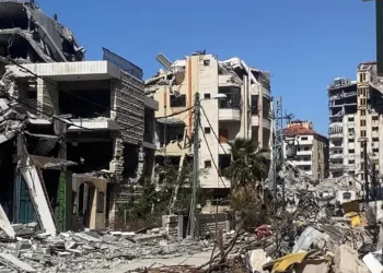 مقال بموقع بريطاني: إذا سقطت غزة فلن تكون هناك فلسطين
