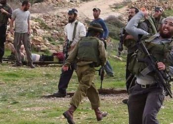 مستوطنون يهاجمون بلدات فلسطينية ويعيثون بها فسادا وتدميرا