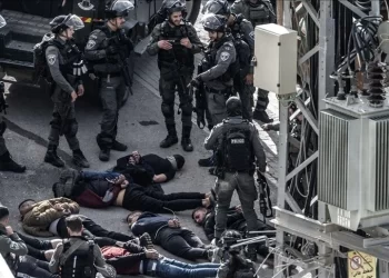 الضفة.. ارتفاع حصيلة المعتقلين الفلسطينيين إلى 7920 منذ 7 أكتوبر