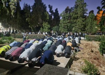 “أهل الهمّة” تهدي فوزها للأردن ولأهل غزة وتؤكد على العمل التشاركي