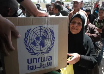 أونروا تؤكد: “سنبقى في رفح لأطول فترة ممكنة” تزامنا مع تهديد باقتحامها