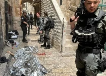 وسم “الشهيد التركي” يتصدر منصات التواصل الاجتماعي