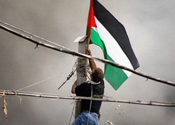بذكرى النكبة.. عدد الفلسطينيين تضاعف 10 مرات واستشهد 134 ألفا منذ النكبة (فيديوغراف)