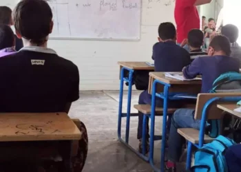 الصبيحي للحكومة: أتقطعون أرزاق الناس بقرارات وتعليمات؟