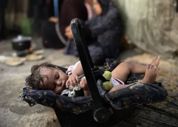 الأمم المتحدة: عدد شهداء أطفال الضفة تضاعف 3 مرات