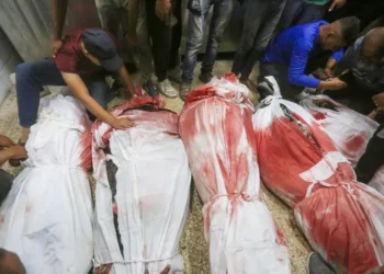 شهداء وجرحى بقصف الاحتلال مدرسة تؤوي نازحين بجباليا