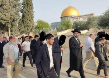 عشرات المستوطنين يقتحمون باحات الأقصى