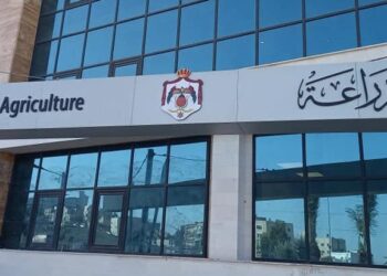 الزراعة تتخذ خطوات لدعم فائض إنتاج البندورة