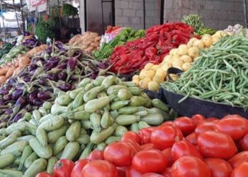 926 طن خضار وفواكه وورقيات ترد لسوق اربد المركزي اليوم