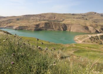 بدء تنفيذ سحب مياه سد كفرنجة وتحليتها بـ 14 مليون دينار