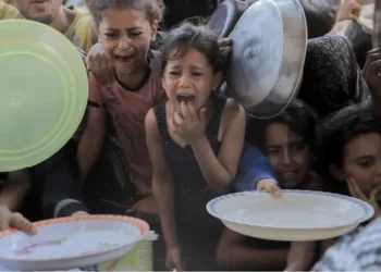 نقص شديد في الغذاء وتعاظم خطر المجاعة.. ماذا يأكل الغزيون الآن؟