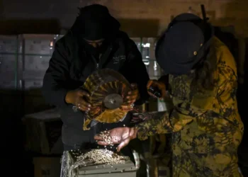 العثور على مواد كيميائية بريطانية في مصنع كبتاغون بريف دمشق