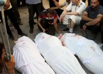 ارتفاع حصيلة الشهداء في غزة إثر ارتكاب الاحتلال 3 مجازر وحشية