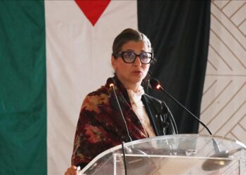 مقررة أممية: “إسرائيل” تعترف ضمنيا بارتكاب جنودها جرائم حرب بغزة