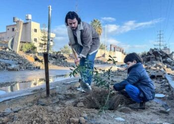 زراعة الأشجار في غزة.. مبادرات فردية لإعادة خضرة أبادتها “إسرائيل” (صور)