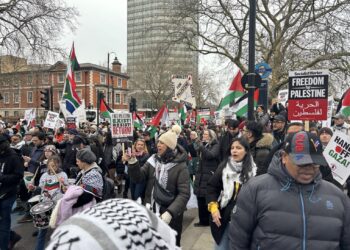 “من الشوارع الثلجية في كندا إلى ملاعب القدم في إسبانيا”.. القضية الفلسطينية حية في وجدان الشعوب (شاهد)