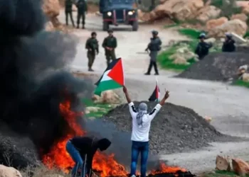 87 عملاً مقاوماً بالضفة في أسبوع