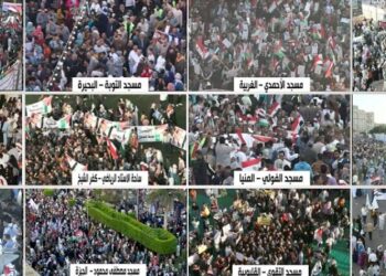 وقفات تضامنية في عدة مدن مصرية رفضا لمخططات تهجير شعبنا