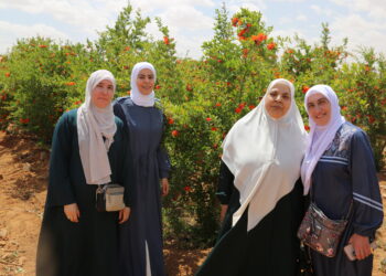 سيدات من “العمل الإسلامي” يزرن مشروعًا زراعيًا في البادية الشمالية الشرقية ويستمعن لتحديات القطاع (شاهد) #عاجل