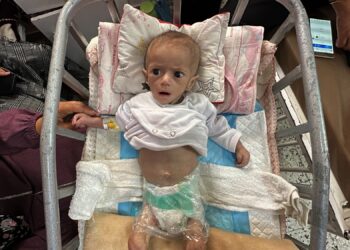 أمين عام “علماء المسلمين”: غزة تموت جوعًا ومرضًا تحت أنقاض الصمت العالمي