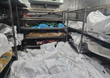 153 شهيدًا و459 إصابة وصلوا مستشفيات غزة خلال 24 ساعة الماضية