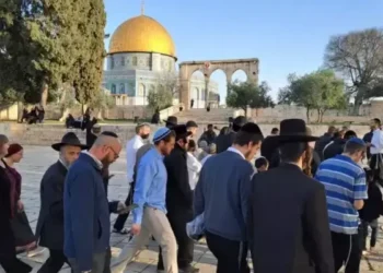 مستوطنون يقتحمون الأقصى ويرفعون علم الاحتلال داخله