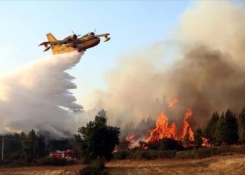 الجزائر تستأجر 12 طائرة وتُفعل مخططا جويا لمكافحة حرائق الصيف