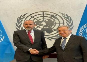 الصفدي يبحث التعاون بين الأردن ومنظمات الأمم المتحدة لإيصال المساعدات إلى غزة