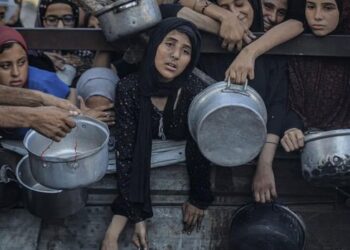“الإعلامي الحكومي” بغزة يكشف  حصيلة جديدة لكارثة حرب التجويع “الإسرائيلية”