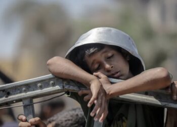 أطباء بلا حدود: طفل من بين كل 4 أطفال يعاني من سوء تغذية بغزة