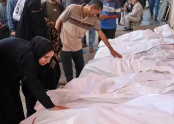 نيويورك تايمز: إبادة غزة الجماعية تحرق رصيد “إسرائيل” الأخلاقي