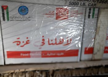 الأردن يستمر بإيصال المساعدات إلى غزة عبر إنزالات جوية جديدة #عاجل