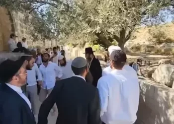 عشرات المستوطنين يدنسون ساحات المسجد الأقصى
