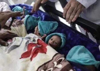 صحة غزة تدين استهداف مستشفى الاندونيسي