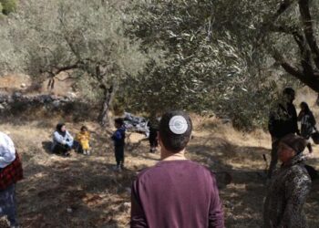 مستوطنون يهاجمون مزارعين أثناء قطف الزيتون شمال القدس