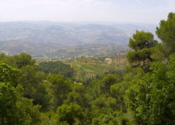 دبين وجهة سياحية طبيعية تجمع بين الجمال والثراء البيئي