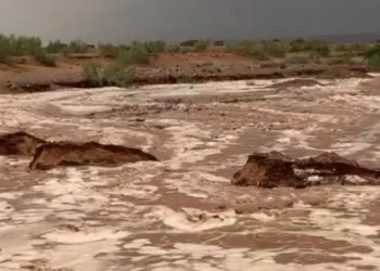 الأمن العام: إنقاذ 3 أشخاص حاصرتهم السيول في الطفيلة وتجديد التحذيرات من الحالة الجوية
