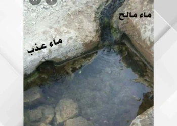 عين “ماء ملح” في بصيرا.. ظاهرة طبيعية نادرة تجمع العذوبة والملوحة في حوض واحد