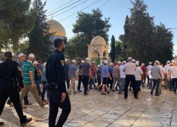 171 مستوطنًا يدنسون باحات الأقصى