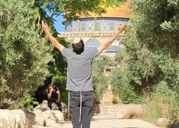 121 مستوطنا اقتحموا المسجد الأقصى صباح اليوم