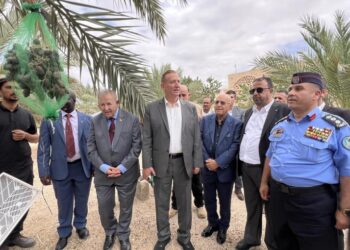 التمور الأردنية تتجاوز 60 مليون دينار صادرات وتصل إلى 50 سوقا عالميا