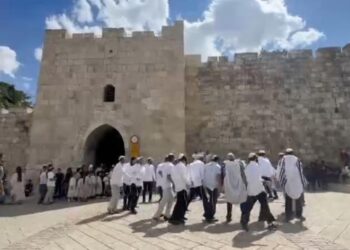 مستوطنون يؤدون رقصات وهتافات تلمودية أمام باب الساهرة في القدس