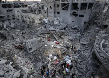 ألبانيزي: غزة قُصفت بما يعادل 6 قنابل نووية